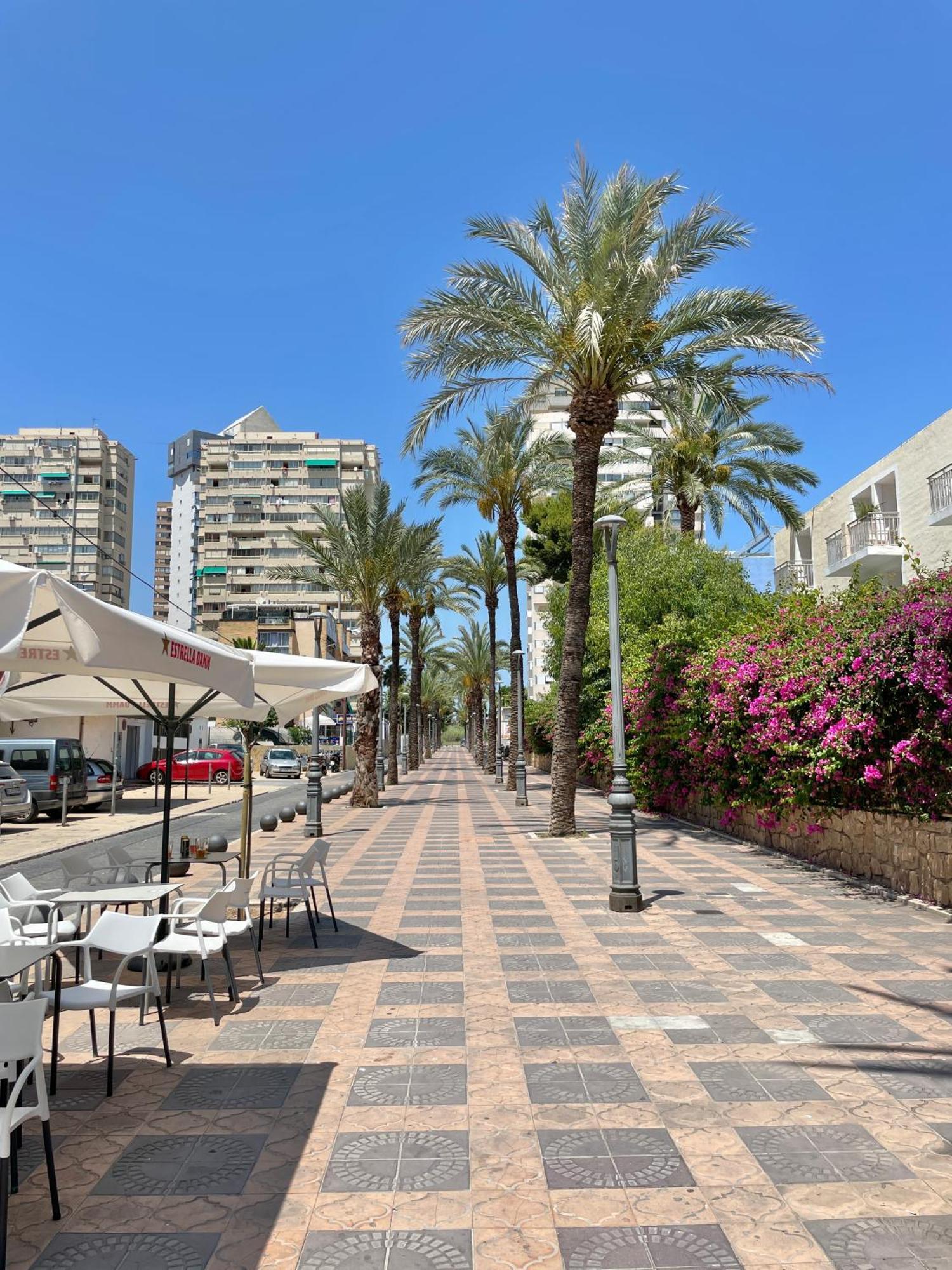 Apartamento New Square Ibiza Benidorm Exterior foto